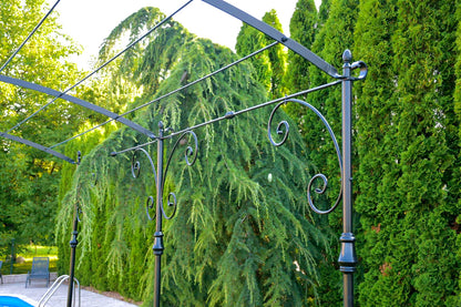 Wrought Iron Pergola